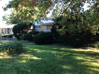 151 W Devon Ave, Roselle, IL 60172 photo 8