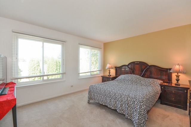 980 Tallgrass Dr, Bartlett, IL 60103 photo 8