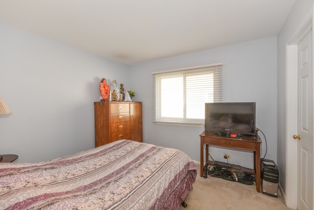 980 Tallgrass Dr, Bartlett, IL 60103 photo 12