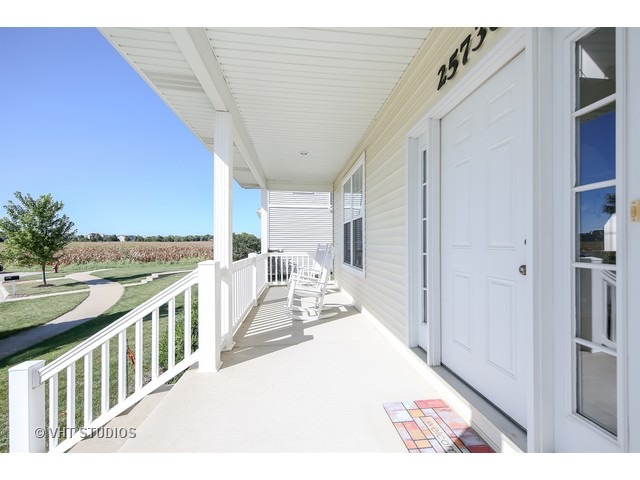 25736 Roundstone Ave, Plainfield, IL 60585 photo 24