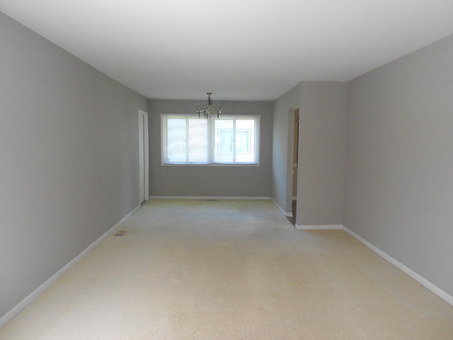 4600 Thornbark Dr, Hoffman Estates, IL 60192 photo 4