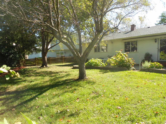 4600 Thornbark Dr, Hoffman Estates, IL 60192 photo 21