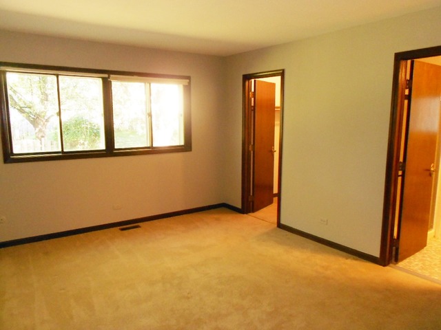 4600 Thornbark Dr, Hoffman Estates, IL 60192 photo 10