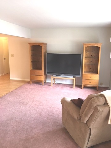 1520 Pioneer Rd #C, Crest Hill, IL 60403 photo 3