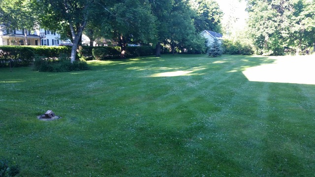 32 W245 Glos St, Wayne, IL 60184 photo 5