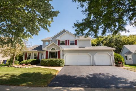 295 Brittany Trl, Elgin, IL 60120 photo 1