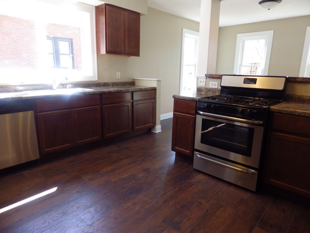 356 E Main St, Braidwood, IL 60408 photo 9