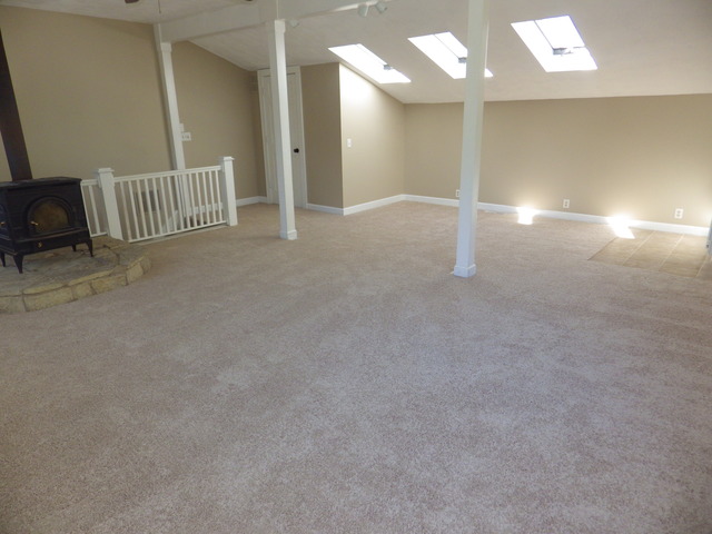 356 E Main St, Braidwood, IL 60408 photo 17