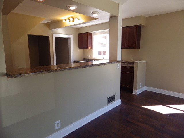 356 E Main St, Braidwood, IL 60408 photo 8