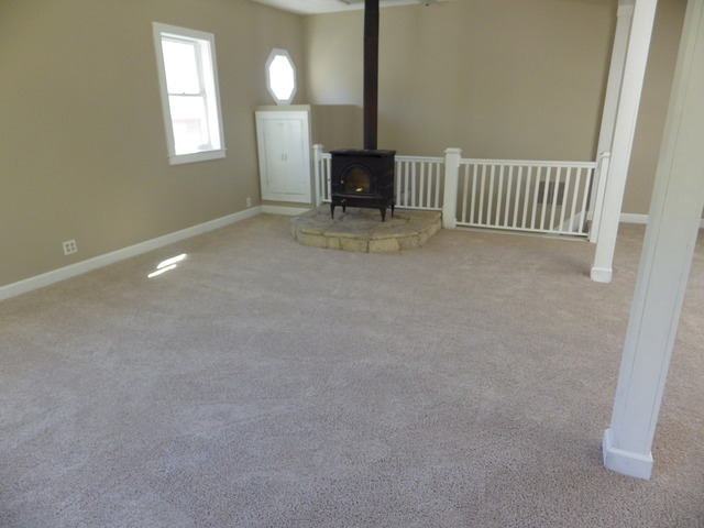 356 E Main St, Braidwood, IL 60408 photo 19