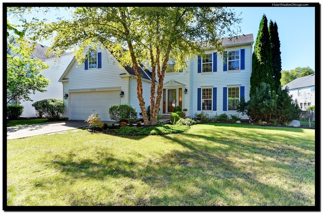 5302 Brookshire Estates Dr, Plainfield, IL 60586 photo 1