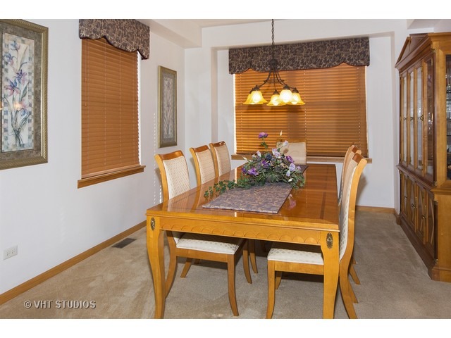 16111 Chablis Ln, Plainfield, IL 60586 photo 5