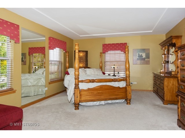 16111 Chablis Ln, Plainfield, IL 60586 photo 8