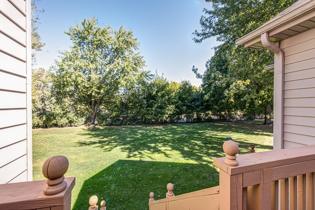 1304 Dancing Bear Ln, Elgin, IL 60120 photo 24