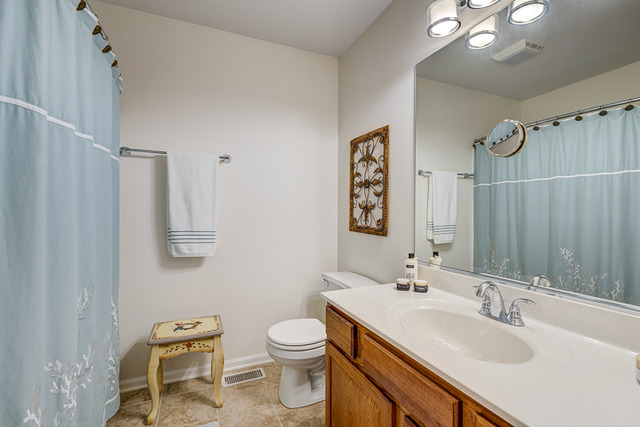 1304 Dancing Bear Ln, Elgin, IL 60120 photo 15