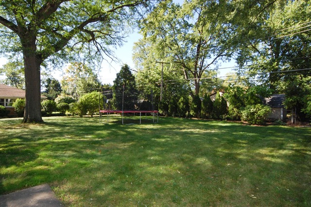 166 Cornell Ave, Des Plaines, IL 60016 photo 24