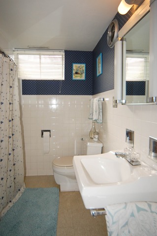 166 Cornell Ave, Des Plaines, IL 60016 photo 18