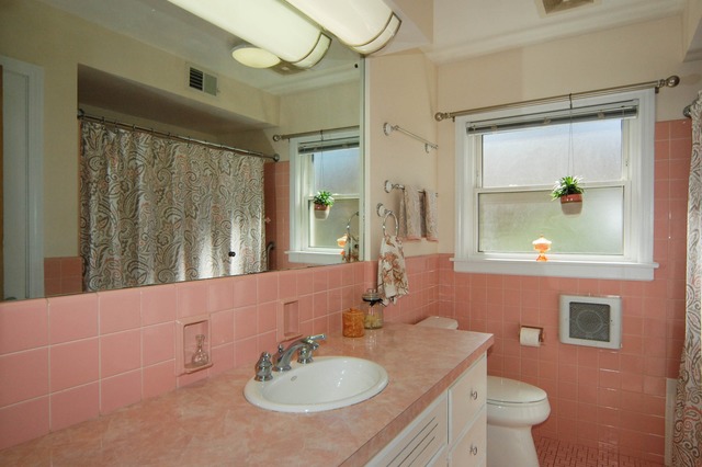 166 Cornell Ave, Des Plaines, IL 60016 photo 15