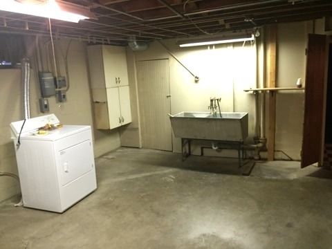 903 Carr St, Elgin, IL 60123 photo 15