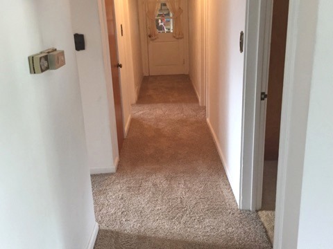 903 Carr St, Elgin, IL 60123 photo 19