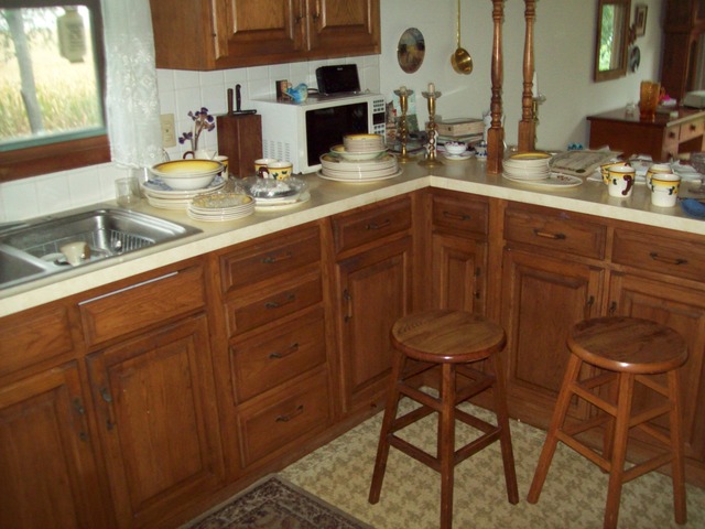 101 E Brewer Circle Dr, Walnut, IL 61376 photo 3