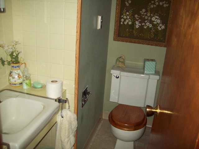 101 E Brewer Circle Dr, Walnut, IL 61376 photo 9