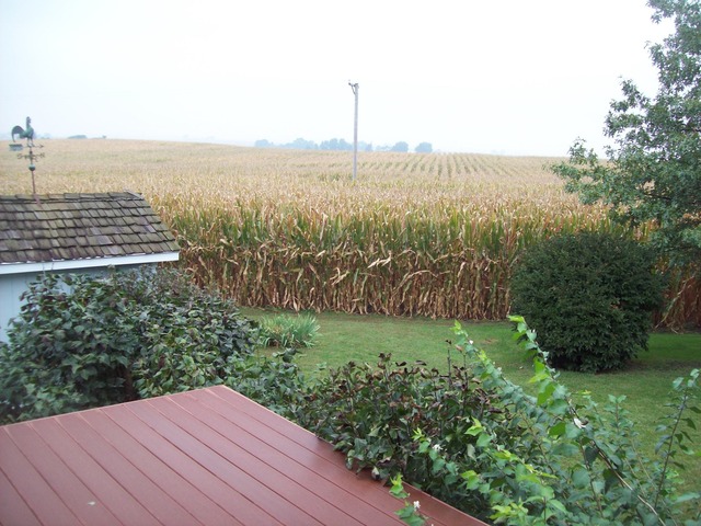 101 E Brewer Circle Dr, Walnut, IL 61376 photo 5