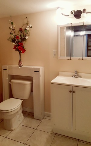 Undisclosed, Addison, IL 60101 photo 11