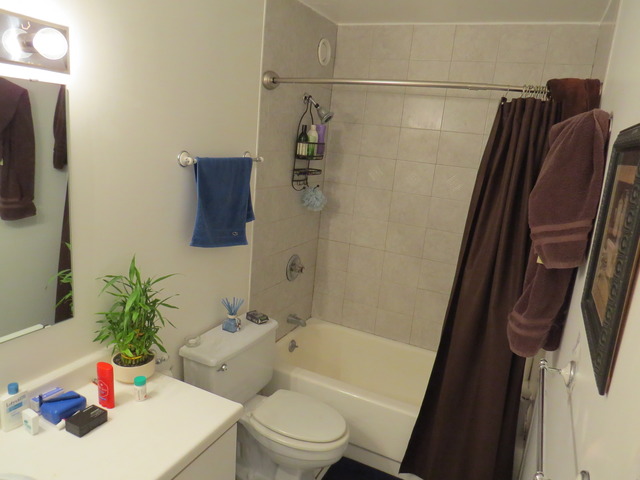 211 E Ohio St #722, Chicago, IL 60611 photo 6