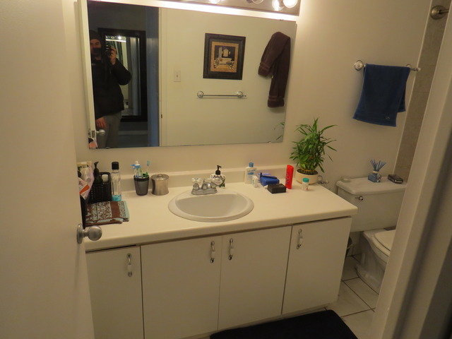 211 E Ohio St #722, Chicago, IL 60611 photo 5
