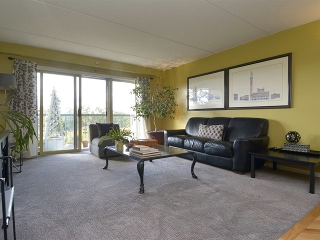 1600 E Thacker St #602, Des Plaines, IL 60016 photo 6