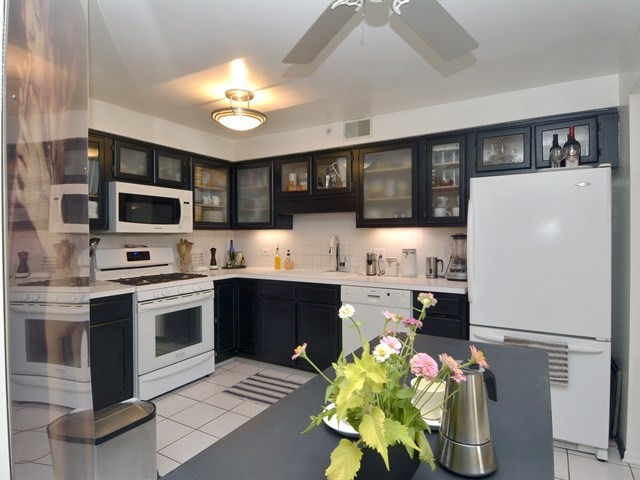 1600 E Thacker St #602, Des Plaines, IL 60016 photo 11