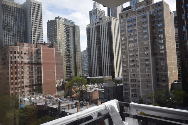 30 Elm St #10B, Chicago, IL 60611 photo 11