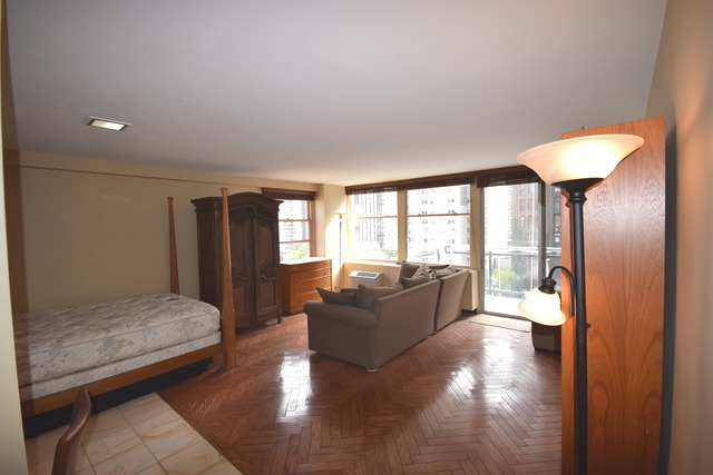 30 Elm St #10B, Chicago, IL 60611 photo 4