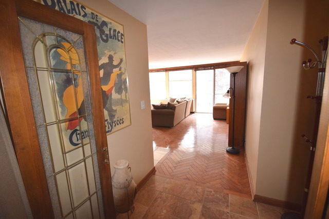 30 Elm St #10B, Chicago, IL 60611 photo 3