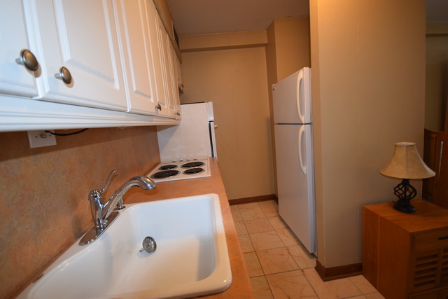 30 Elm St #10B, Chicago, IL 60611 photo 7