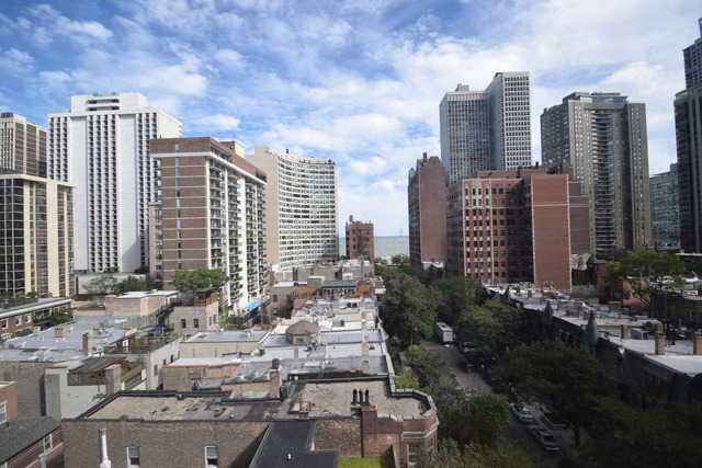 30 Elm St #10B, Chicago, IL 60611 photo 12