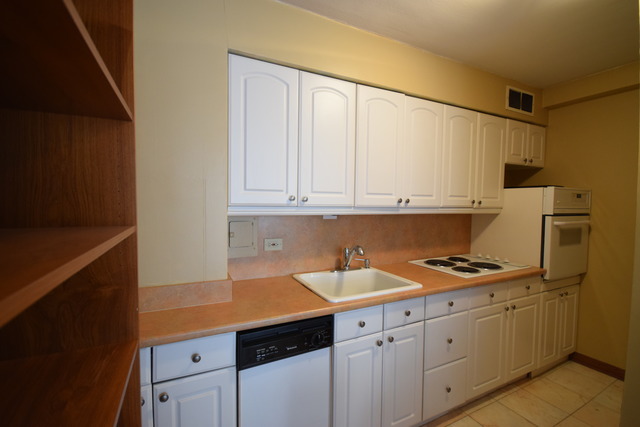 30 Elm St #10B, Chicago, IL 60611 photo 6