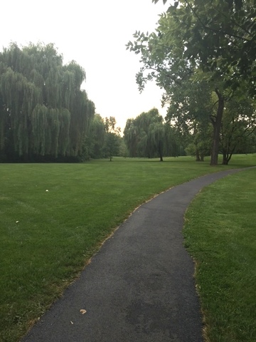 1406 Ashton Ct #D1, Wheeling, IL 60090 photo 12