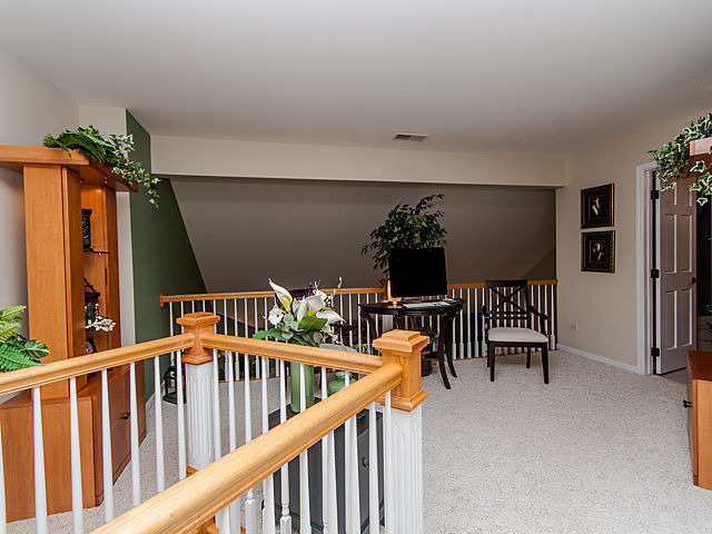 13807 Steeples Rd, Lemont, IL 60439 photo 17