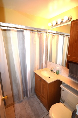 5206 S Newland Ave, Chicago, IL 60638 photo 13