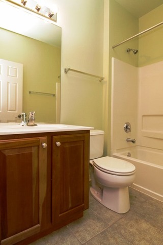 24905 Blue Iris Ct N, Plainfield, IL 60585 photo 13