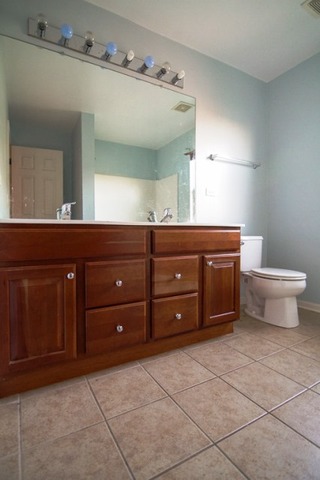 24905 Blue Iris Ct N, Plainfield, IL 60585 photo 23