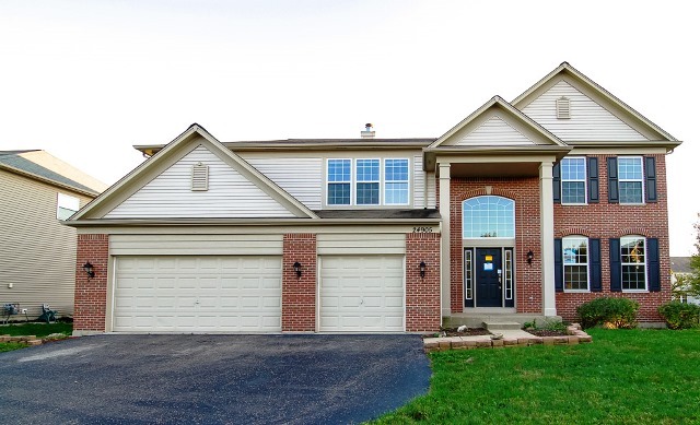 24905 Blue Iris Ct N, Plainfield, IL 60585 photo 1