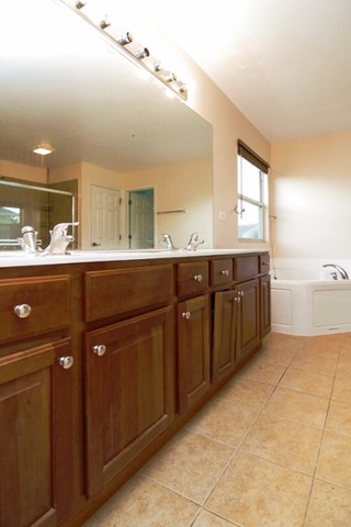 24905 Blue Iris Ct N, Plainfield, IL 60585 photo 15
