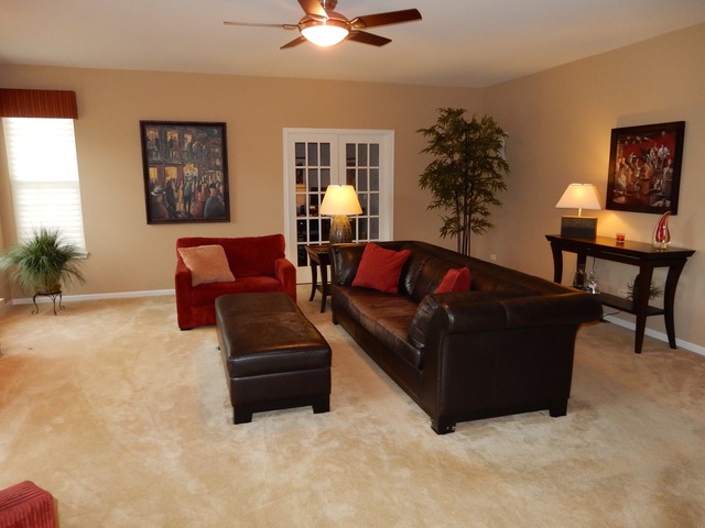 26105 Mapleview Dr, Plainfield, IL 60585 photo 8