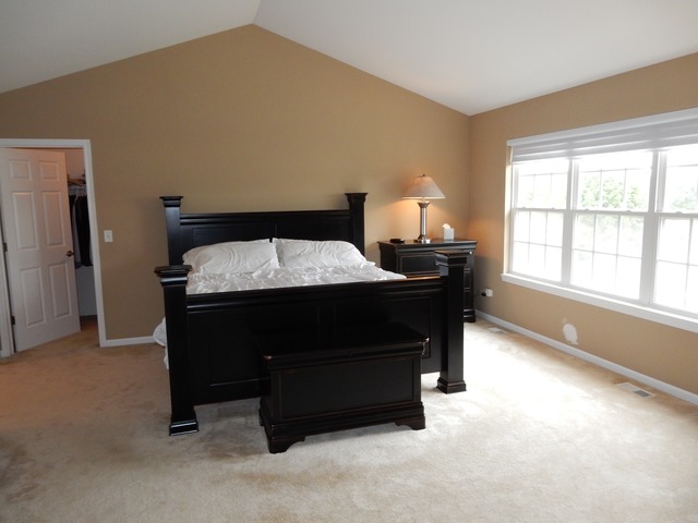 26105 Mapleview Dr, Plainfield, IL 60585 photo 14