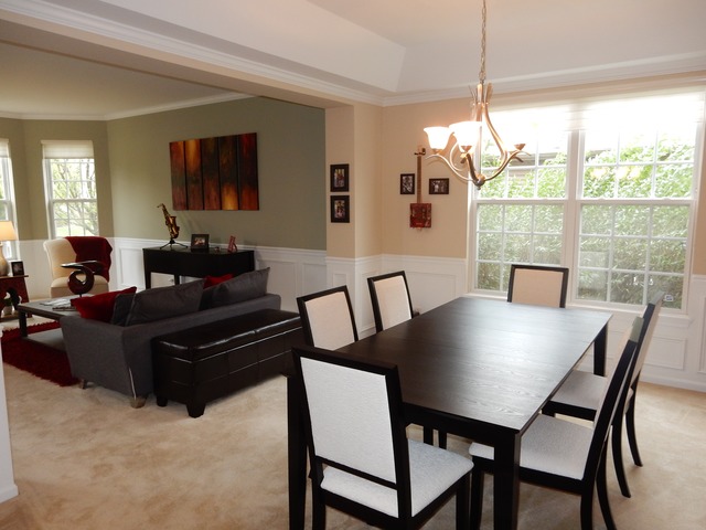 26105 Mapleview Dr, Plainfield, IL 60585 photo 5