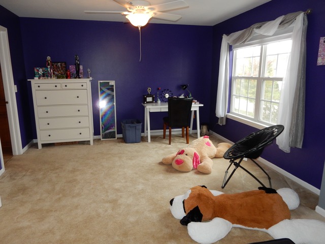 26105 Mapleview Dr, Plainfield, IL 60585 photo 19
