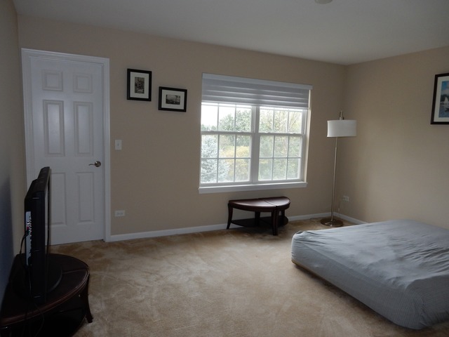 26105 Mapleview Dr, Plainfield, IL 60585 photo 20